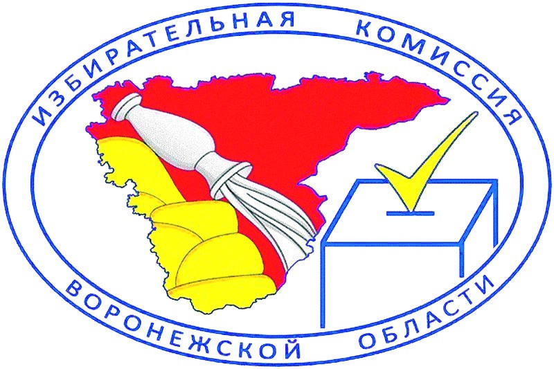 В воронежском облизбиркоме сменился руководитель