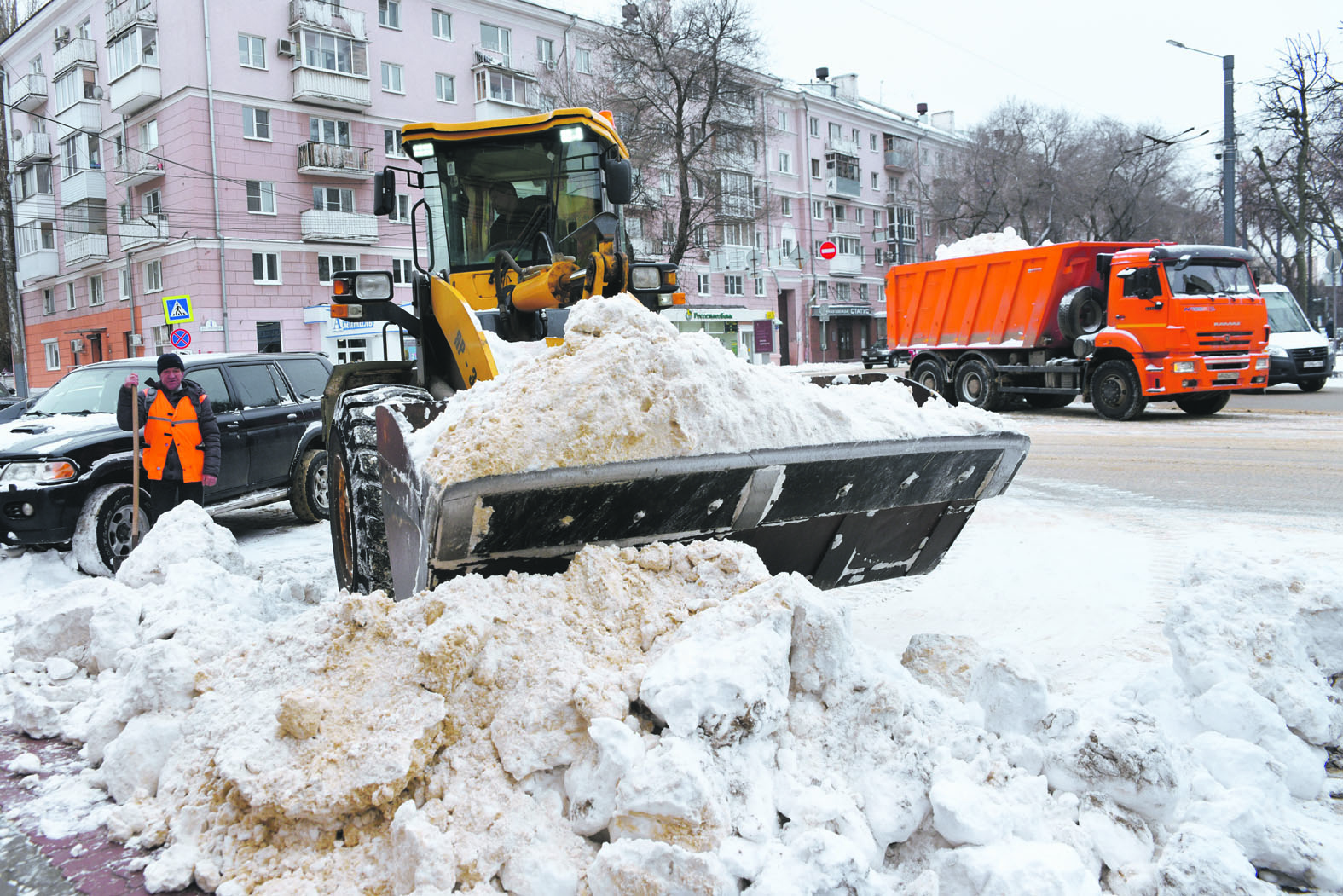 Морозы могут исчезнуть в Воронеже через тридцать лет 