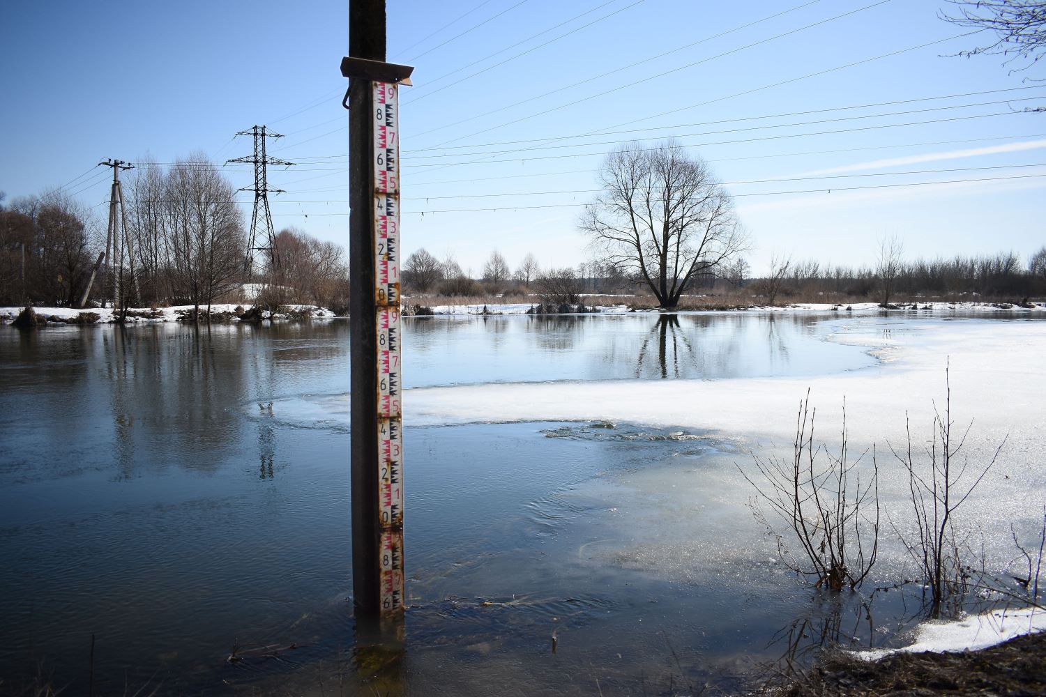 На каких воронежских реках ожидается подъём воды, рассказали в МЧС  