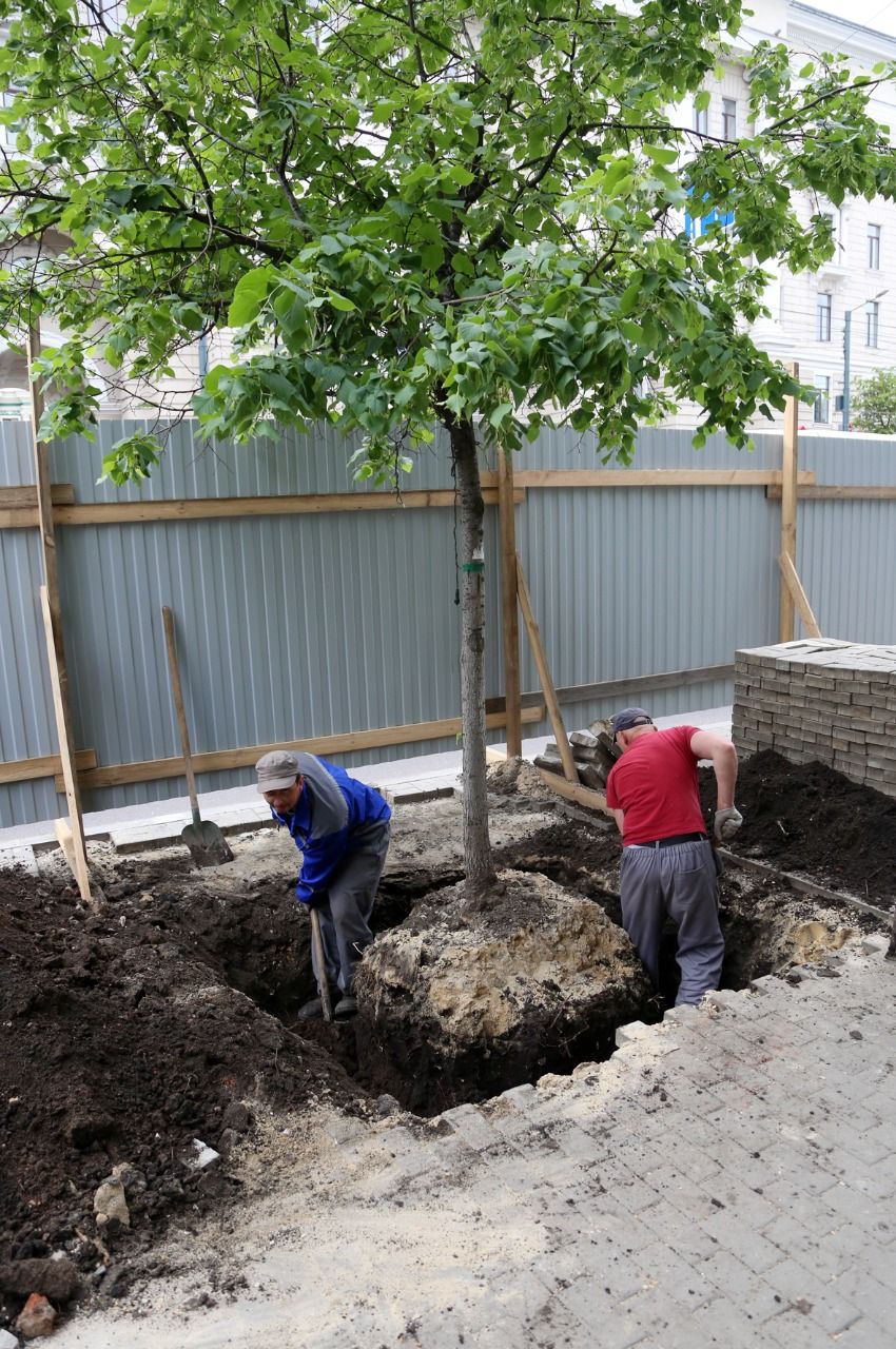 WhatsApp Image 2021-06-08 at 12.12.21.jpeg