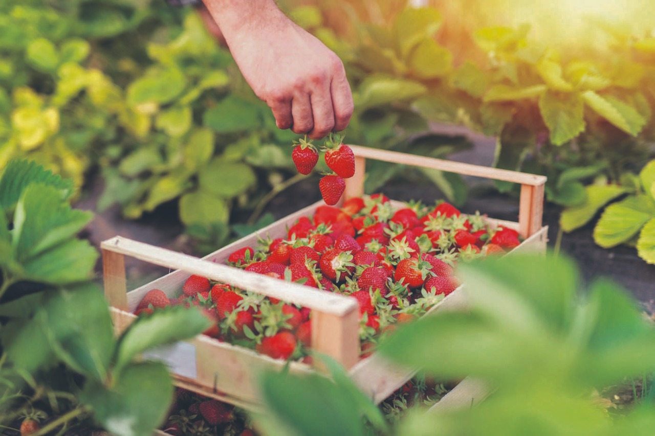 WhatsApp Image 2022-09-28 at 11.09.33.jpeg