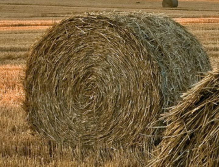 Снимок экрана 2017-11-15 в 0.38.21.png