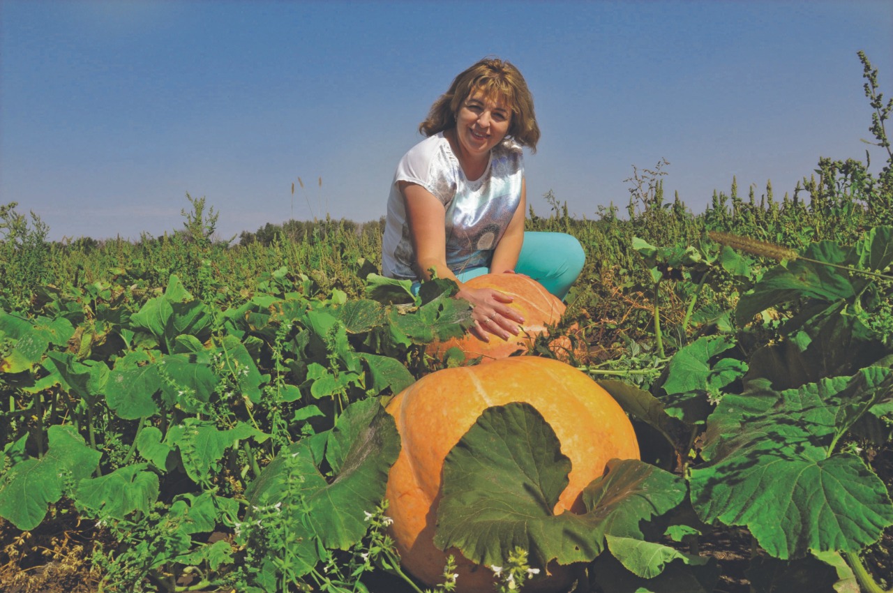 WhatsApp Image 2022-09-28 at 11.10.54.jpeg