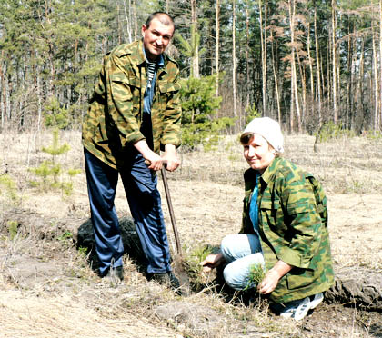 Посадкой молодых побегов хвои занимается чета Власовых – Светлана и Пётр.