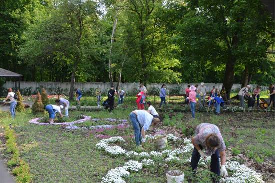 «Зелёная весна»