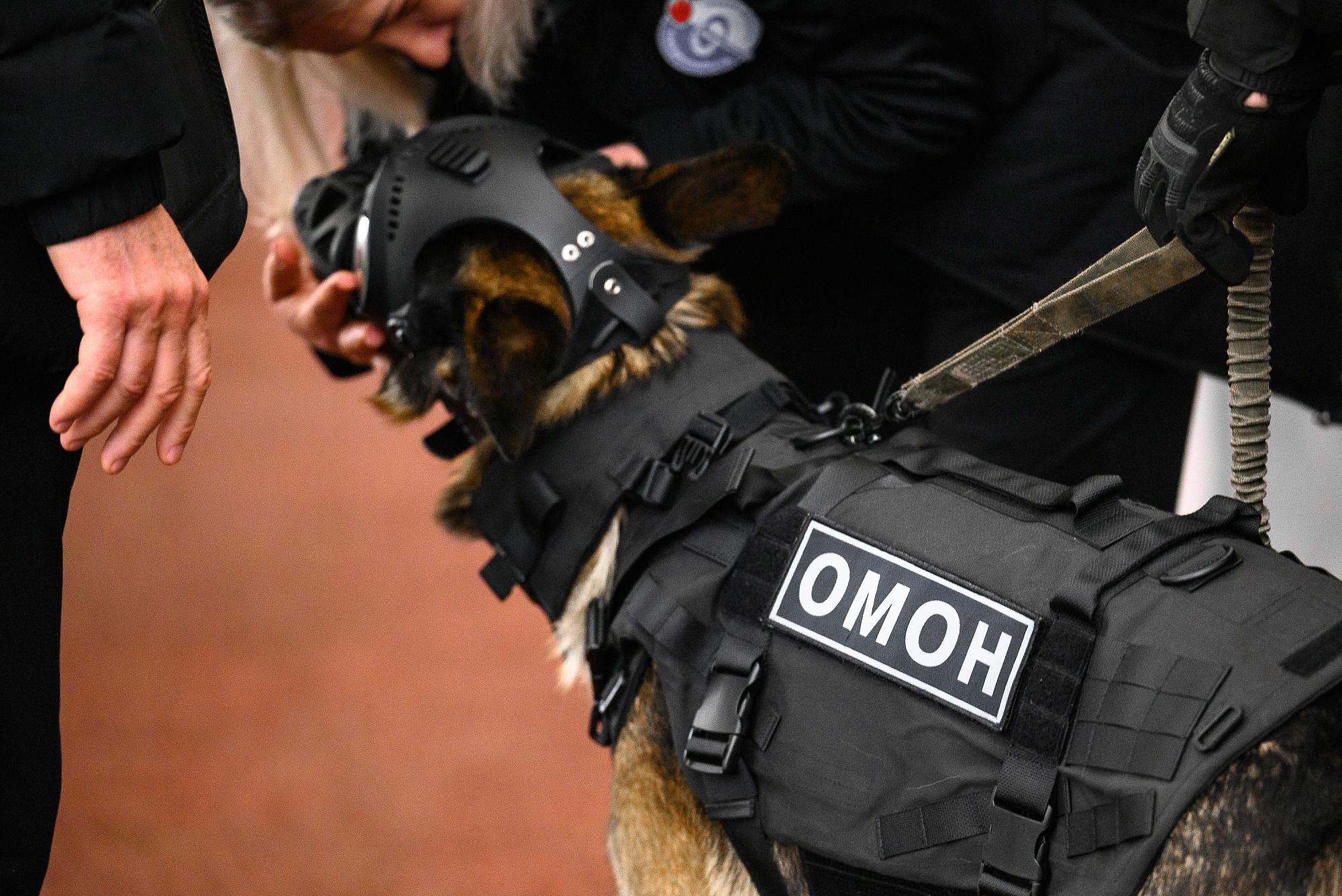 Команда Росгвардии сыграла товарищеский матч с футболистами  «Факела»