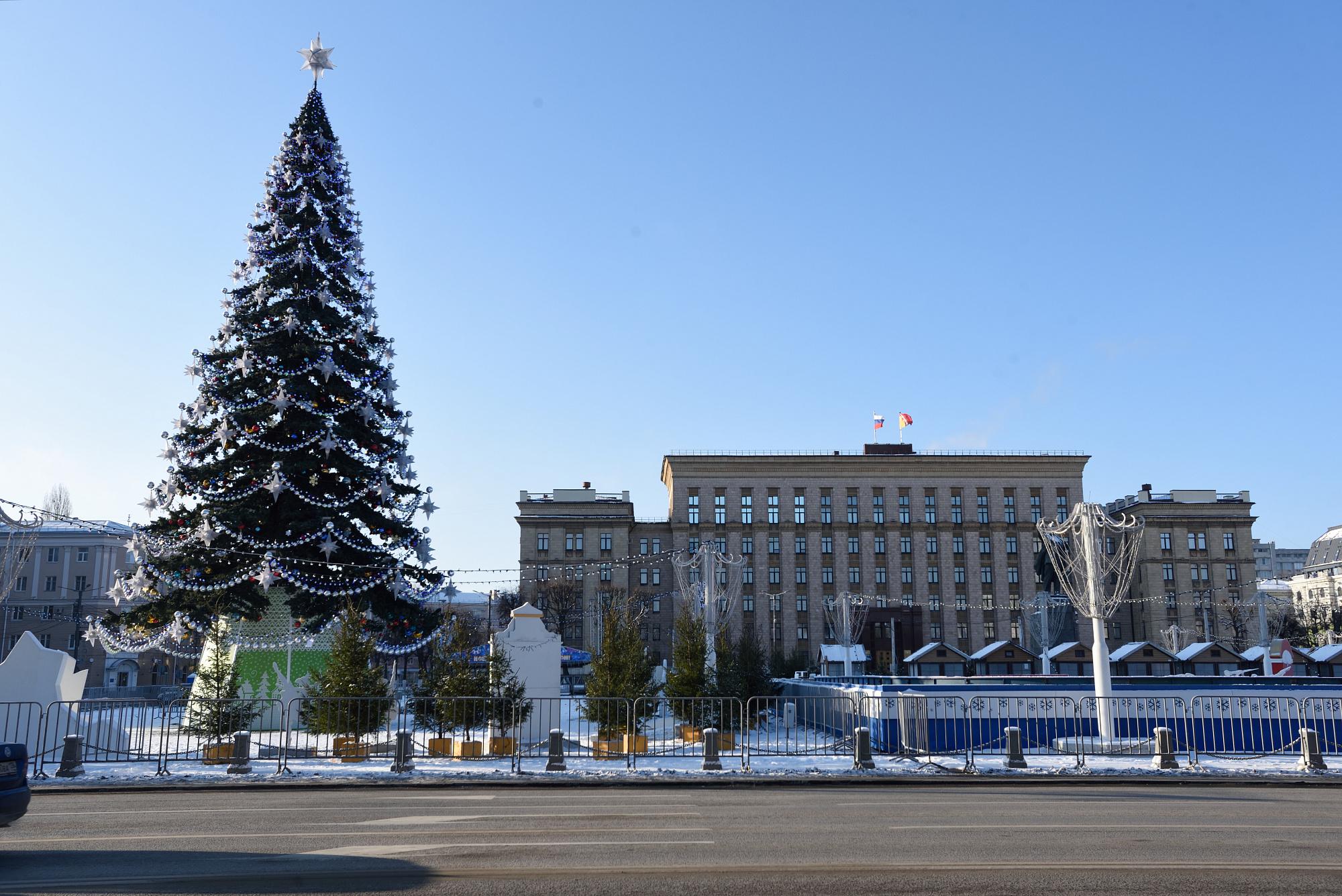 В Воронеже объявили программу новогодних мероприятий