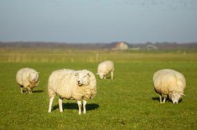 Есть ли перспективы у&hellip;