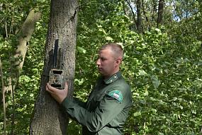 В воронежских лесах&hellip;