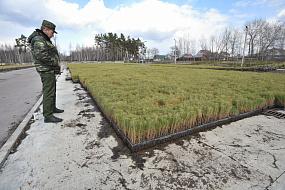 Где в Воронеже выращивают&hellip;