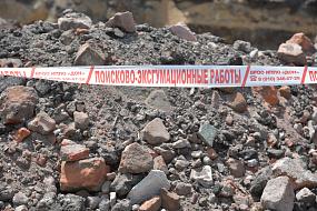 В Воронеже нашли массовое&hellip;