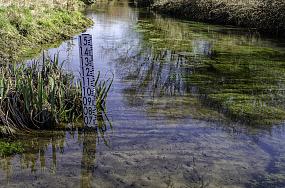 Как воронежские власти&hellip;