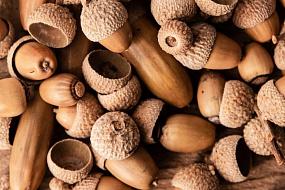 В Воронежской области не&hellip;