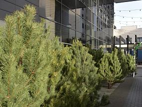 Где можно утилизировать&hellip;