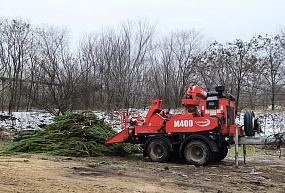  Новогодние ели&hellip;