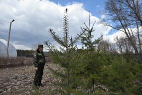 За десять лет площадь&hellip;