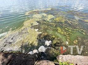 Названа причина вони от&hellip;