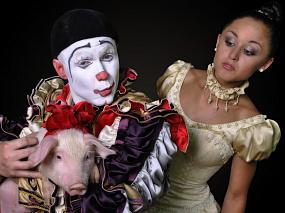 Путь ему указали «Зебры»