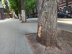 В центре Воронежа вандалы&hellip;