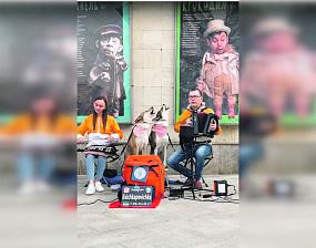 Четвероногие музыканты