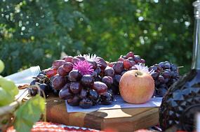 Фестиваль винограда&hellip;