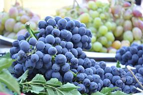 В Верхнемамонском районе&hellip;