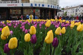 Полевые кинотеатры&hellip;