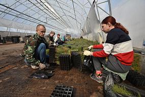 Возвращение в лесостепь