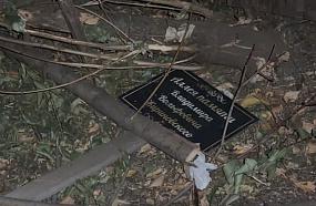 Вандалы осквернили аллею&hellip;