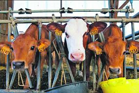   Какую поддержку от&hellip;