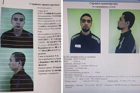 Двух сбежавших&hellip;