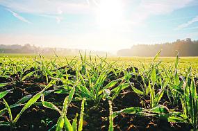 Воронежский учёный дал&hellip;