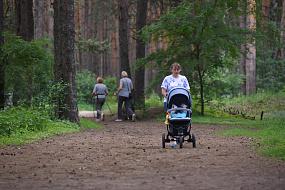 Северный лес в Воронеже&hellip;