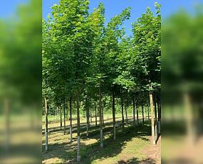 Воронежских строителей&hellip;