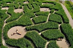 В парке под Воронежем&hellip;