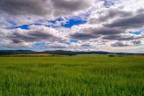 Как в Воронежской области&hellip;