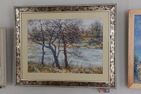 В Воронеже прошла выставка врачей - художников