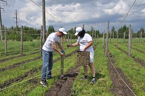 Воронежская область вышла&hellip;
