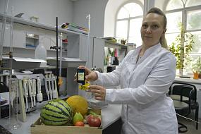 Проверили арбуз и дыню на&hellip;